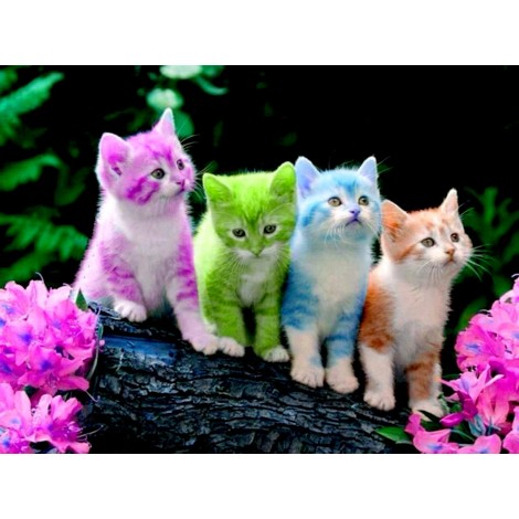 5d Cat Diamond Painting Kit Premium-43