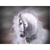 Horse White Night Diamond Painting Kit