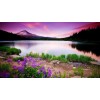 Embroidery Landscape Diamond Painting Kit