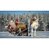 Christmas Diamond Painting Kit 5D Season 2-141