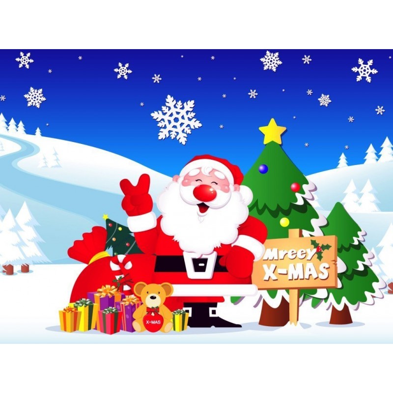 Christmas Diamond Pa...