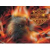 Harley Eagle Diamond Painting Kit