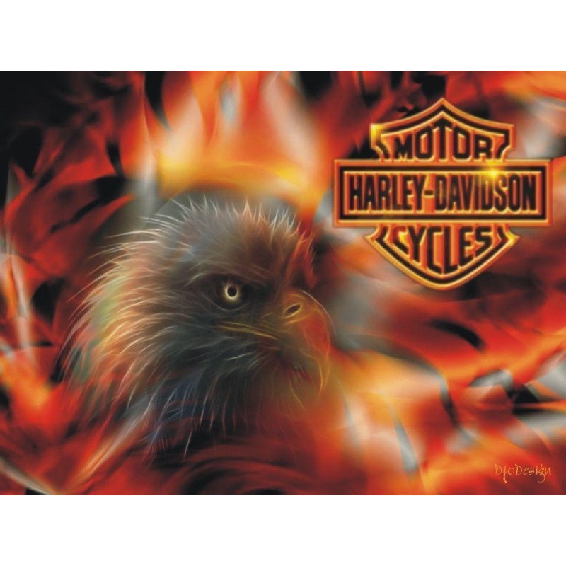 Harley Eagle Diamond...