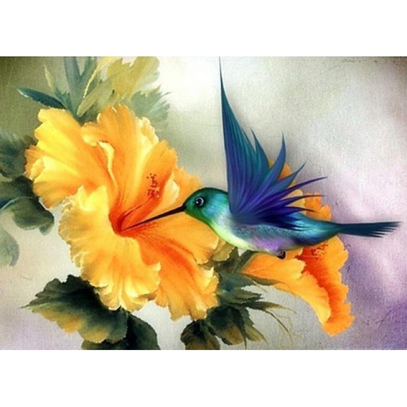 Animal Hummingbird D...