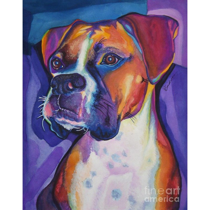 Boxer Colors Diamond...