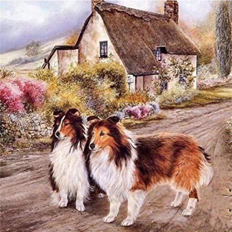 Cabin Dogs Diamond P...