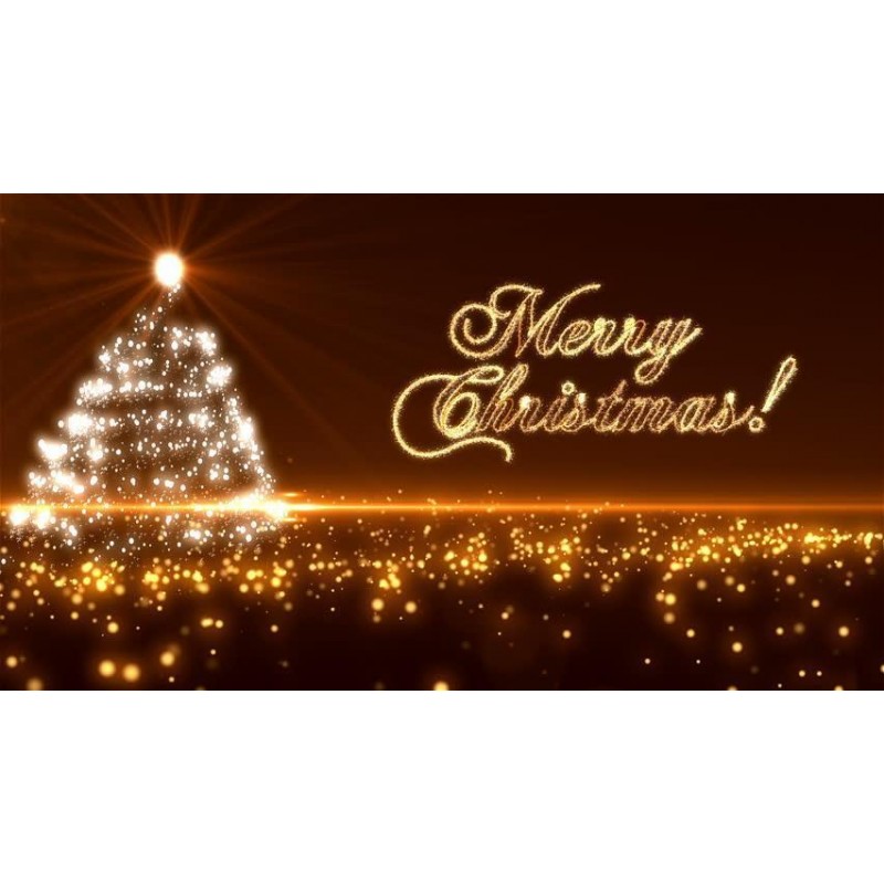 Christmas Diamond Pa...