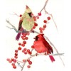 Cardinal Male And Female Diamond Painting Kit