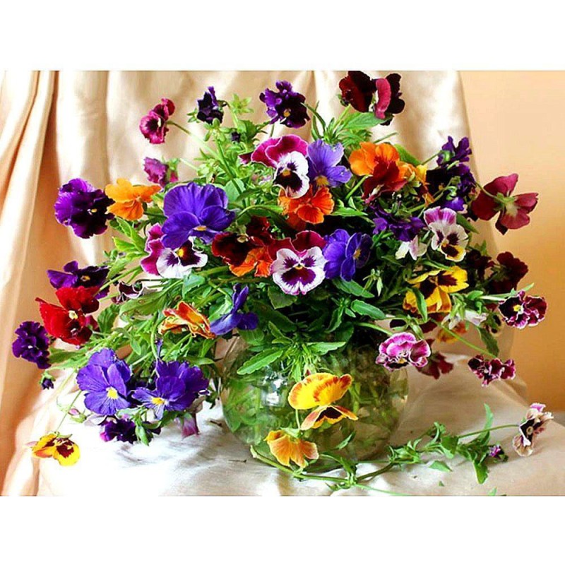 Colorful Flowers and...