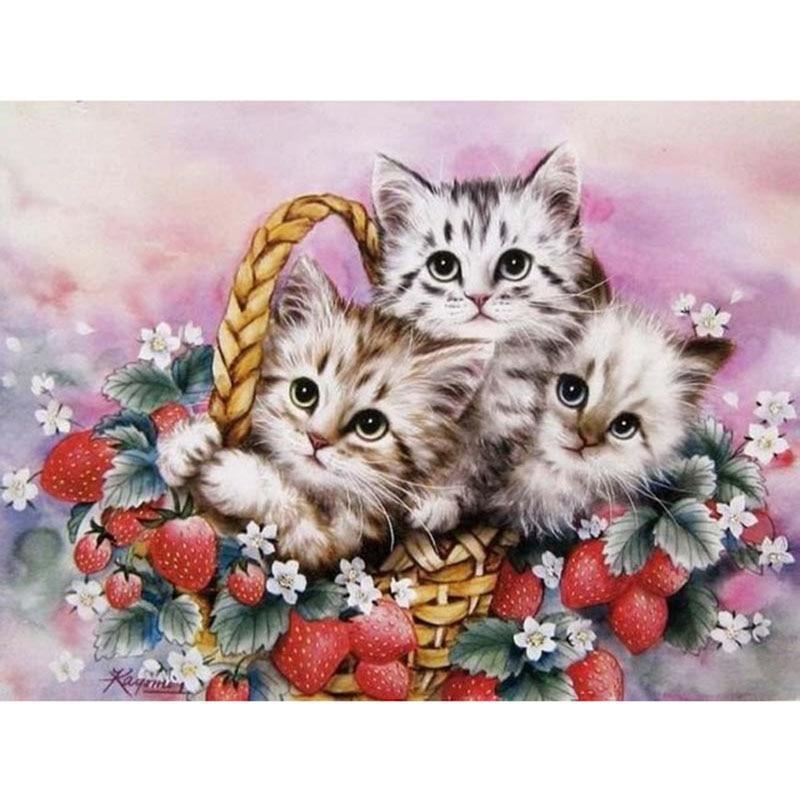 Cat In The Basket Di...