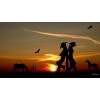 Western Cowboy Diamond Painting Kit