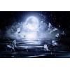 White Butterfly Diamond Painting Kit