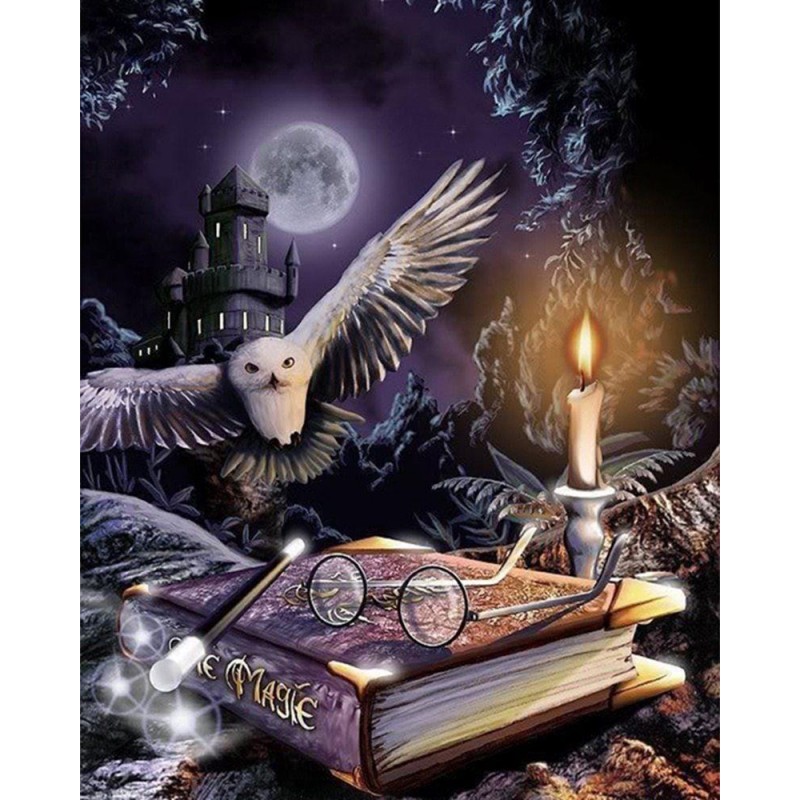 5d Harry Potter Diam...