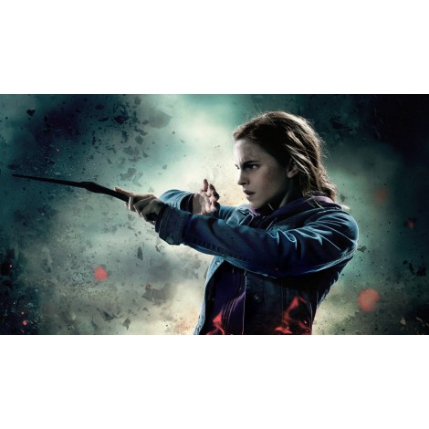 5d Harry Potter Diamond Painting Kit Premium-6