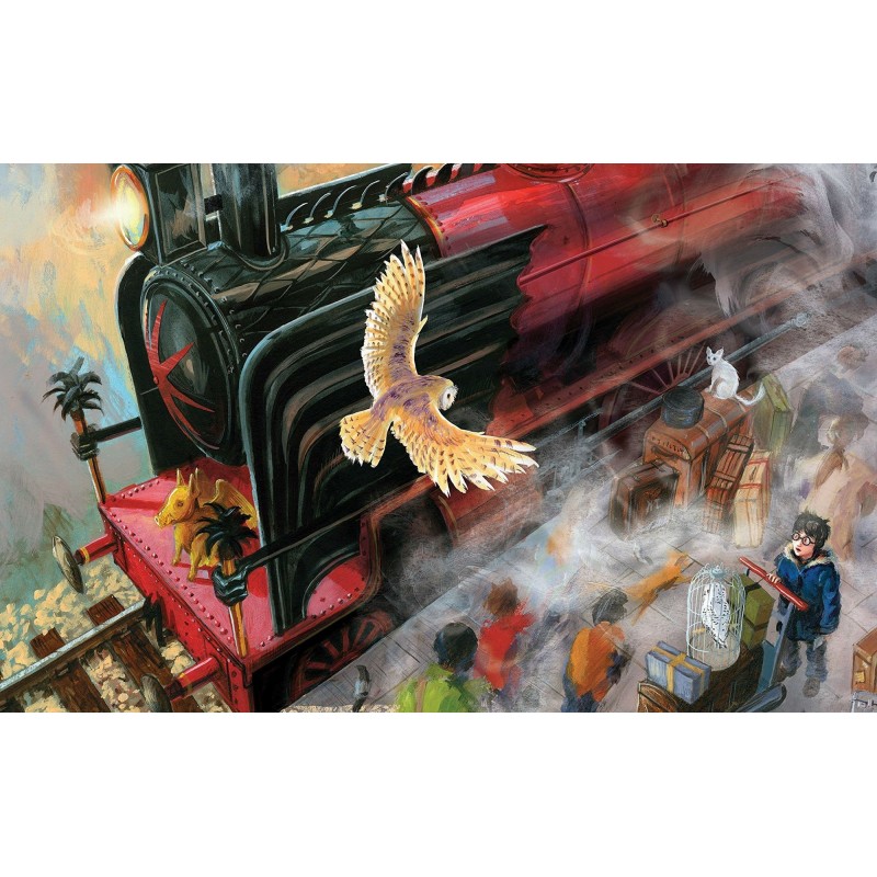 5d Harry Potter Diam...