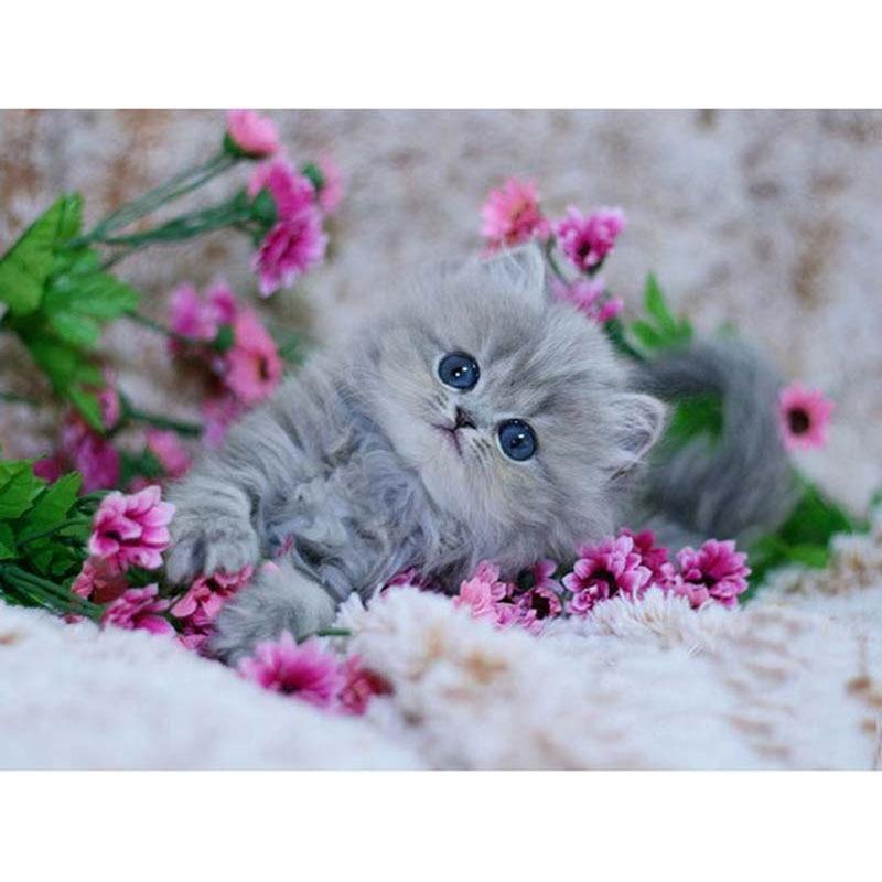 Cute Cat and pink fl...