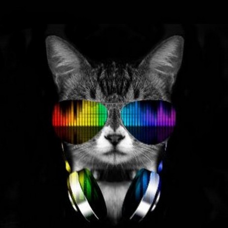 5d Cat Diamond Painting Kit Premium-89