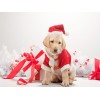 Christmas Diamond Painting Kit Christmas-13