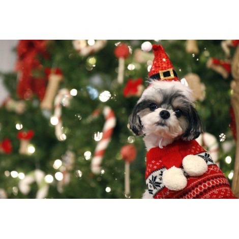 Christmas Diamond Painting Kit Christmas-19