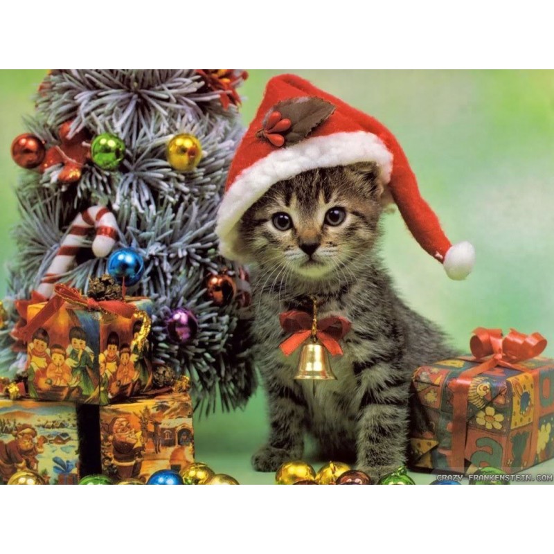 Christmas Diamond Pa...