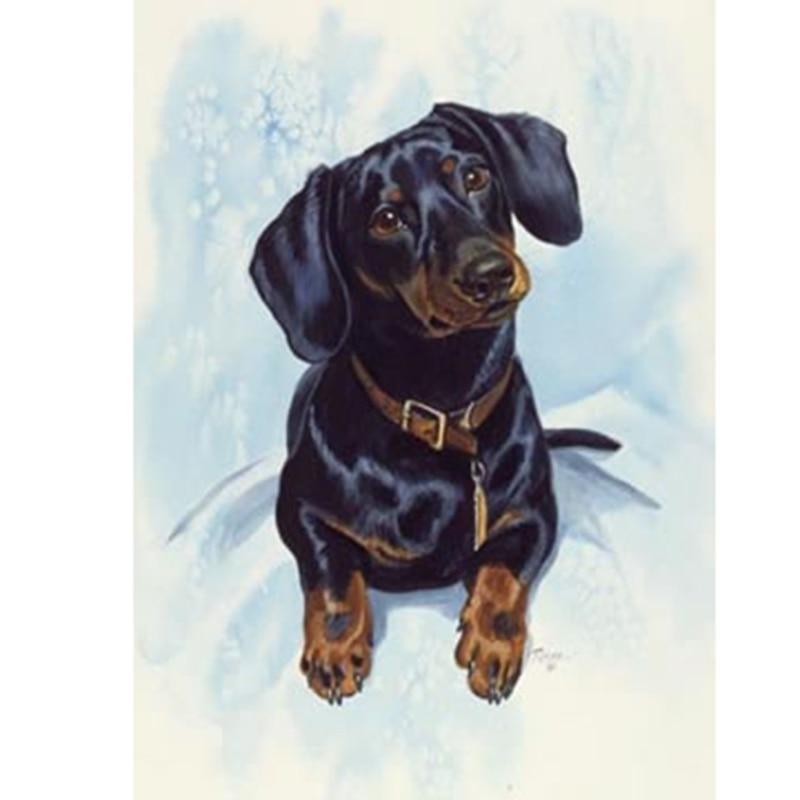 Snow In The Dog Diam...