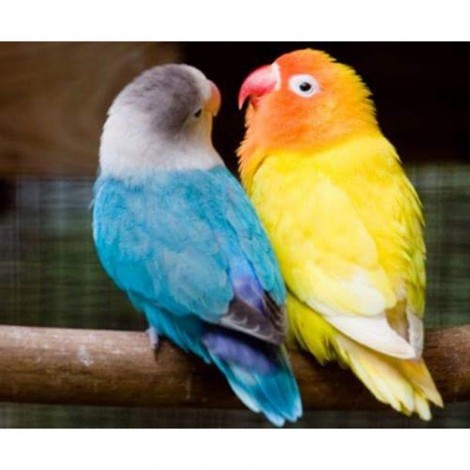 Yellow and Blue Diamond Painting Kit
