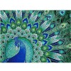 Special Shaped Peacock Diamond Painting Kit