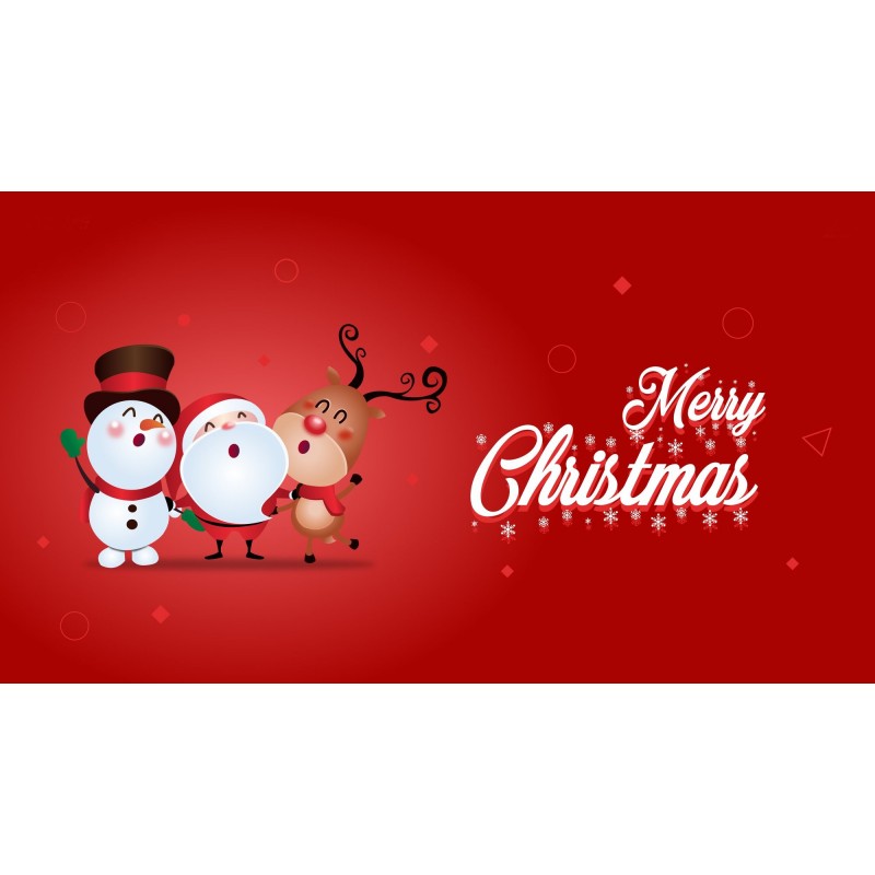 Christmas Diamond Pa...