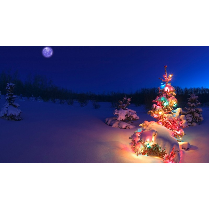 Christmas Diamond Pa...