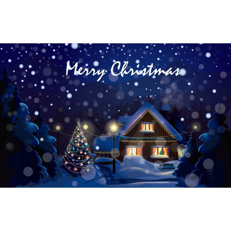 Christmas Diamond Pa...