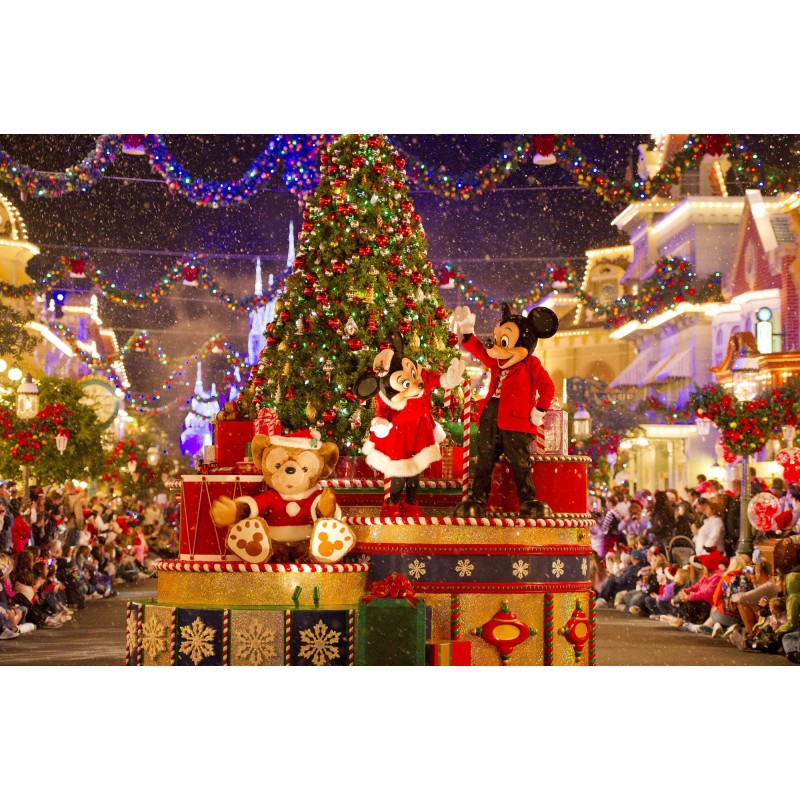 Christmas Diamond Pa...