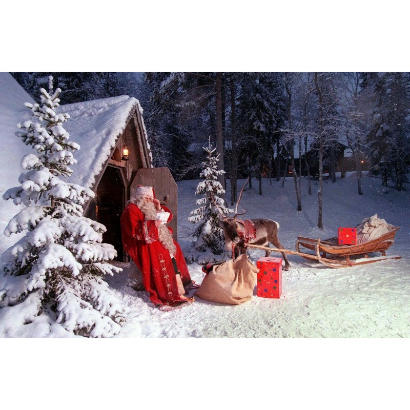 Christmas Diamond Pa...