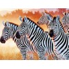 5d Hotsale Diamond Painting Kit Custom Kits  14