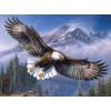 5d Hotsale Diamond Painting Kit Custom Kits  57