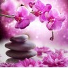 5d Hotsale Diamond Painting Kit Custom Kits  58