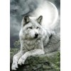 5d Hotsale Diamond Painting Kit Custom Kits  65