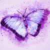 5d Hotsale Diamond Painting Kit Custom Kits  97