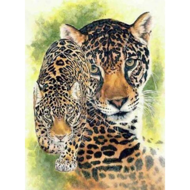 5d Hotsale Diamond P...