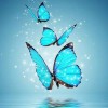 5d Hotsale Diamond Painting Kit Custom Kits  104