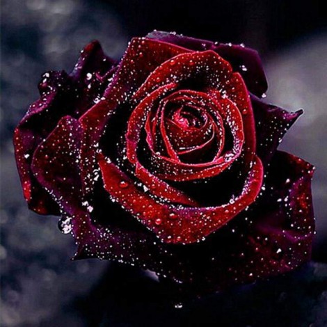 5d Hotsale Diamond Painting Kit Custom Kits  105
