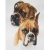 5d Hotsale Diamond Painting Kit Custom Kits  115