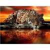 5d Hotsale Diamond Painting Kit Custom Kits  159