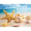 5d Hotsale Diamond Painting Kit Custom Kits  164