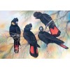 5d Hotsale Diamond Painting Kit Custom Kits  279