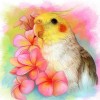 5d Hotsale Diamond Painting Kit Custom Kits  284