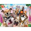 5d Hotsale Diamond Painting Kit Custom Kits  287