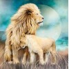 5d Hotsale Diamond Painting Kit Custom Kits  217