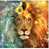 5d Hotsale Diamond Painting Kit Custom Kits  223