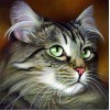 5d Hotsale Diamond Painting Kit Custom Kits  237