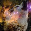 5d Hotsale Diamond Painting Kit Custom Kits  248